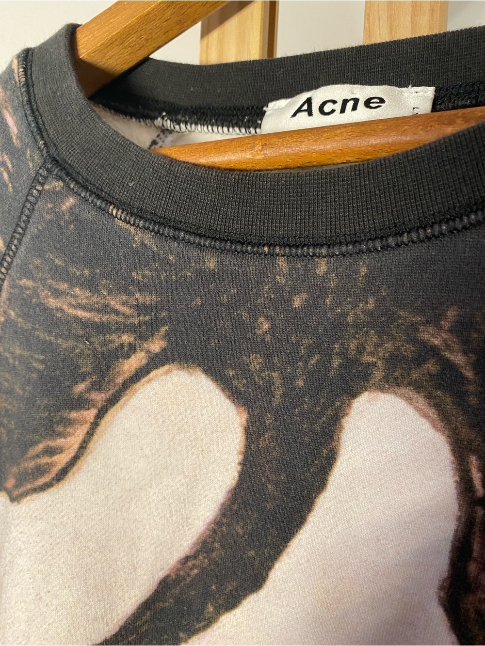 Acne Studios x Hilma af Klint Swan Print Sweatshirt XS Rare SS14 Art Collab - Picture 6 of 8